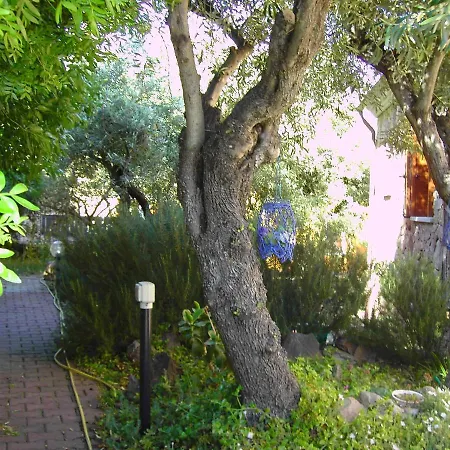 Secret Garden *